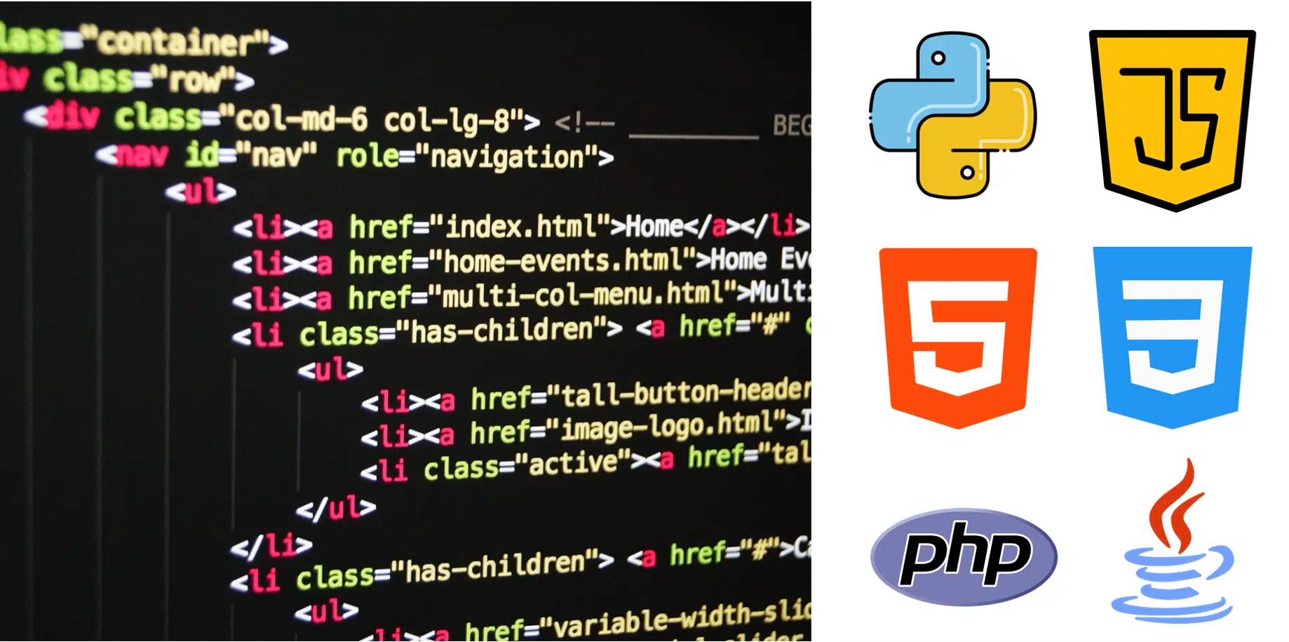 دورات برمجة اونلاين دورات برمجة اونلاين