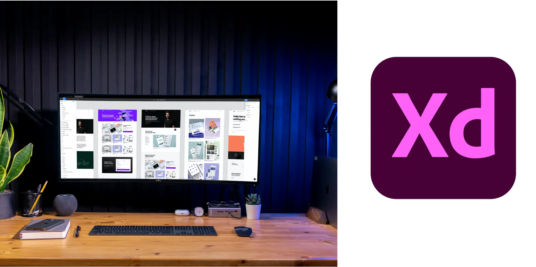 دورة adobe xd دورة adobe xd